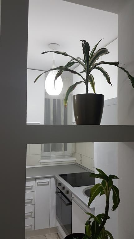 Cluj Lux Apartment Taberei Kültér fotó